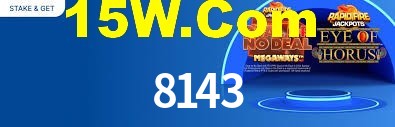 Premium Interface 8143
